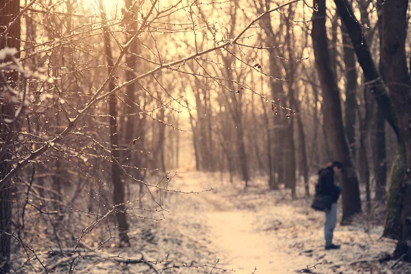 Vintage photo of a snowy forest — Stock Photo, Image