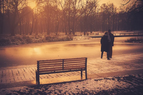 一个冬日严寒湖附近的夫妇 — 图库照片