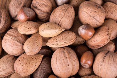 Fındık kabukları içinde çeşitli