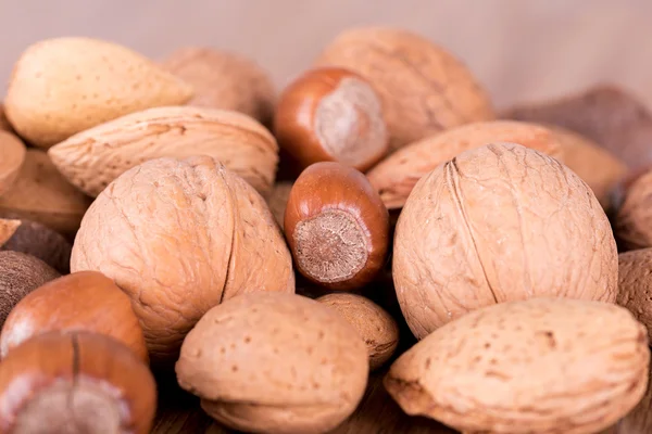 Varios tipos de nueces en conchas — Foto de Stock