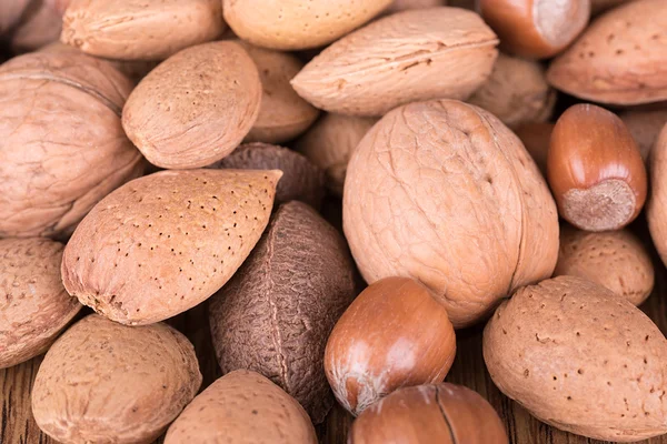 Varios tipos de nueces en conchas —  Fotos de Stock