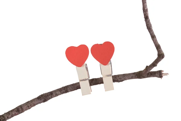 Red hearts on a dry branch — Stock Photo, Image