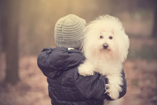 Nő a vállán tartja őt puppy — Stock Fotó