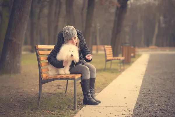 Parkta sahibi olan köpek. — Stok fotoğraf