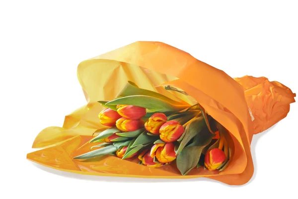 Zalomený kytice tulipánů na bílém pozadí Royalty Free Stock Obrázky