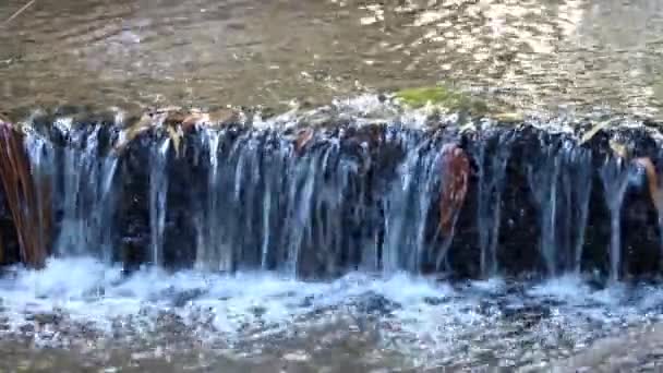 Natura Czysta Rzeka Strumień Wody — Wideo stockowe