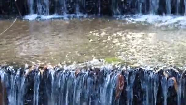大自然清澈的溪流 — 图库视频影像