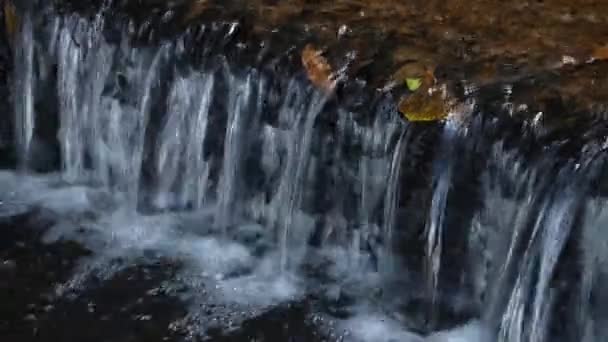 Natur Rent Vatten Ström Flod — Stockvideo