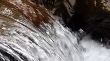 Doğanın yakın çekim görüntüleri. Tropikal nehirdeki küçük nehir şelalesi. Güzel doğal manzara.