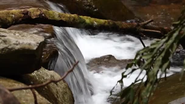 热带河流优美自然景观中自然小河瀑布的特写镜头 — 图库视频影像