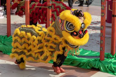 Kota Kinabalu, Sabah, Malezya - Şubat 05, 2019: Çin Yeni Yıl Festivali 'nde Aslan dansı gösterisi Çin' in Peak Nam Toong, Kota Kinabalu Sabah, Malezya