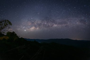 Samanyolu galaksisinin evrensel alanı ve geceleri gökyüzünde yıldızlar olan ölü ağacın doğa manzarası. (Taneli uzun pozlu fotoğraf. Görüntü belli tahıl ya da gürültü ve yumuşak odaklanma içerir..)