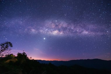 Samanyolu galaksisinin evrensel alanı ve geceleri gökyüzünde yıldızlar olan ölü ağacın doğa manzarası. (Taneli uzun pozlu fotoğraf. Görüntü belli tahıl ya da gürültü ve yumuşak odaklanma içerir..)