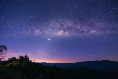 Samanyolu galaksisinin evrensel alanı ve geceleri gökyüzünde yıldızlar olan ölü ağacın doğa manzarası. (Taneli uzun pozlu fotoğraf. Görüntü belli tahıl ya da gürültü ve yumuşak odaklanma içerir..)