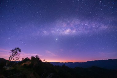 Samanyolu galaksisinin evrensel alanı ve geceleri gökyüzünde yıldızlar olan ölü ağacın doğa manzarası. (Taneli uzun pozlu fotoğraf. Görüntü belli tahıl ya da gürültü ve yumuşak odaklanma içerir..)