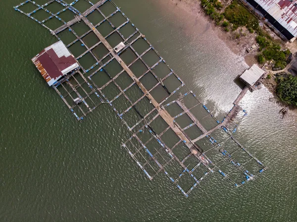 Luchtfoto Drone Van Kooien Van Een Grote Viskwekerij — Stockfoto