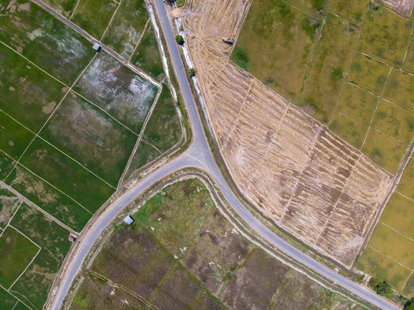 Piękny Aerial Drone Obraz Świeżego Młodego Zielonego Pola Ryżu Niełuskanego — Zdjęcie stockowe