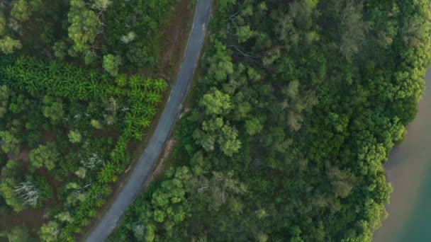 Filmato Aereo Drone Bella Foresta Rurale Verde Nei Dintorni — Video Stock
