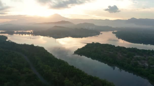 自然沟槽森林的4K航拍 — 图库视频影像