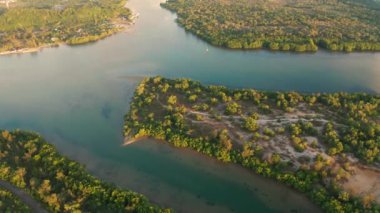 Doğanın mangrov ormanının 4K hava görüntüsü