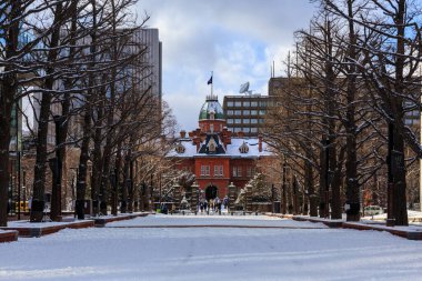 Eski Hokkaido Hükümet Ofisi Sapporo, Hokkaido, Japonya 'da kışın.