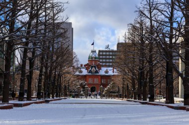 Eski Hokkaido Hükümet Ofisi Sapporo, Hokkaido, Japonya 'da kışın.
