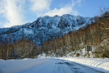 Güzel kış manzarası, kar altında kış ormanı, yolda toz kar, Hokkaido Japon manzarası içeriden araba manzarası.