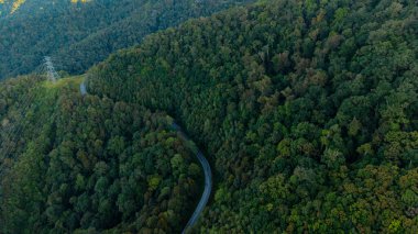 Tropikal yağmur ormanlarının hava manzarası güzel doğa manzarası. Sabah, Borneo 'da sık yağmur ormanlarıyla dolu yemyeşil bir orman.