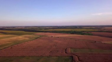 Bir yaz akşamı hasat sırasında