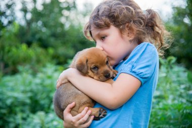 Bir köpek yavrusu kucağında küçük kız