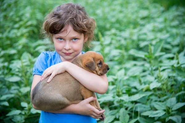 Κοριτσάκι με ένα κουτάβι στην αγκαλιά της — Φωτογραφία Αρχείου