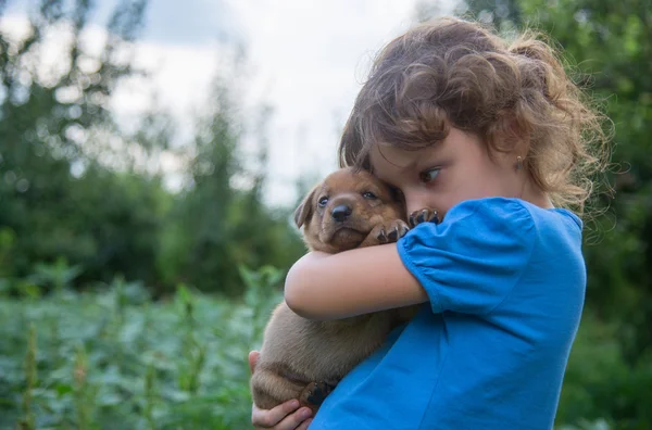 Meisje met een puppy in haar armen Stockfoto