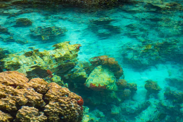 Flache Korallenriffe in türkisfarbenem, transparentem Wasser, Indonesien — Stockfoto