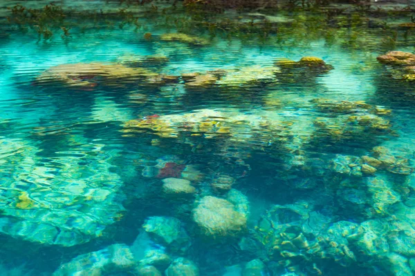 Flache Korallenriffe in türkisfarbenem, transparentem Wasser, Indonesien — Stockfoto