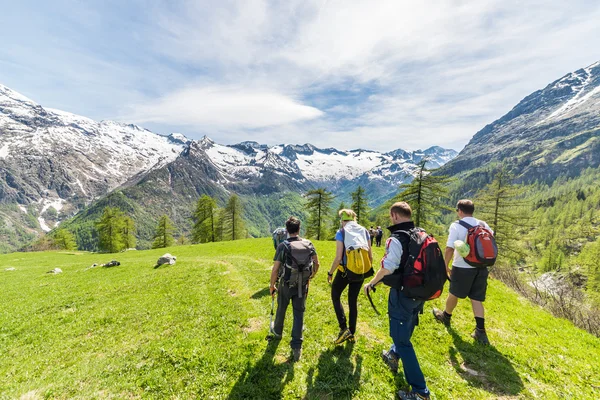 Grupo de caminhantes explorando os Alpes, atividades ao ar livre no verão — Fotografia de Stock