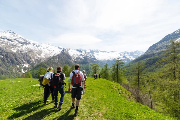 Group of hikers exploring the Alps, outdoor activities in summer — Stock Photo, Image