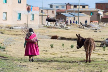 Titicaca gölü, Bolivya güneşin Adası'nda kırsal yaşamı