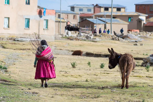 Vidéki élet a szigeten, a nap, a Titicaca-tó, Bolívia — Stock Fotó