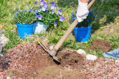 Bahar ev Bahçe, toprak karık arası çapa ve çiçek dikimi