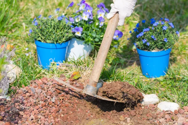 Bahar ev Bahçe, toprak karık arası çapa ve çiçek dikimi