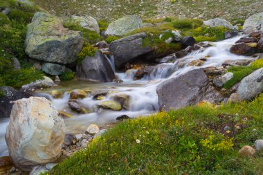 Vahşi akan sular Alpleri'nde, uzun pozlama, yakın çekim