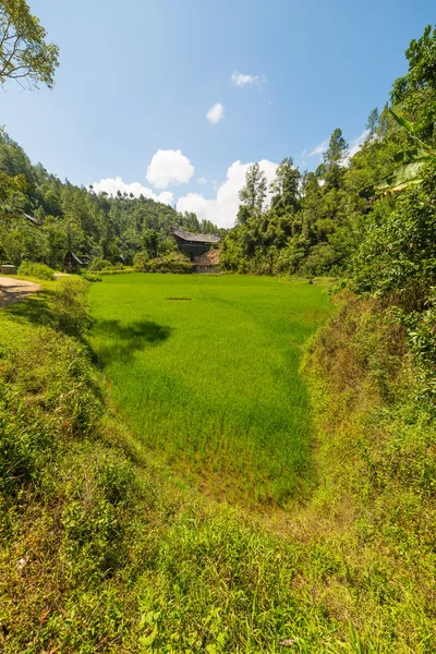 Traditional Toraja village in idyllic rural landscape — Stock Photo, Image