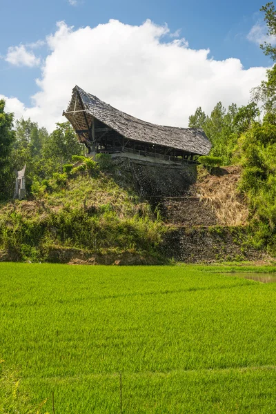 Pueblo tradicional de Toraja en idílico paisaje rural — Foto de Stock