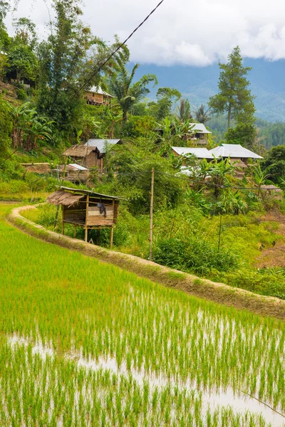 Pueblo tradicional de Toraja en idílico paisaje rural — Foto de Stock