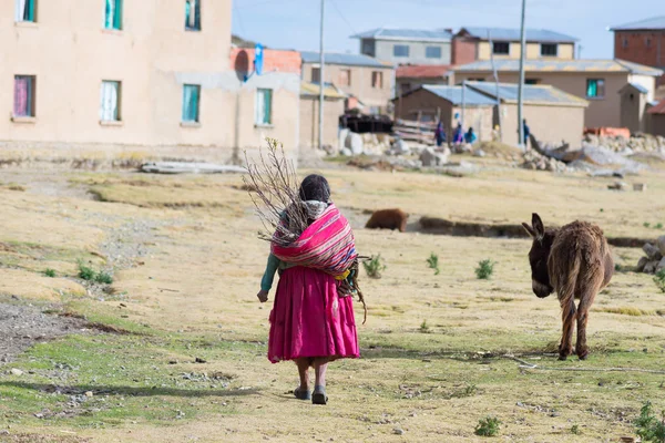 Vidéki élet a szigeten, a nap, a Titicaca-tó, Bolívia — Stock Fotó