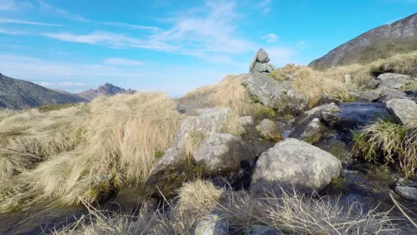 Backpacker hiking and crossing a little stream in the italian Alps. — Stok Video