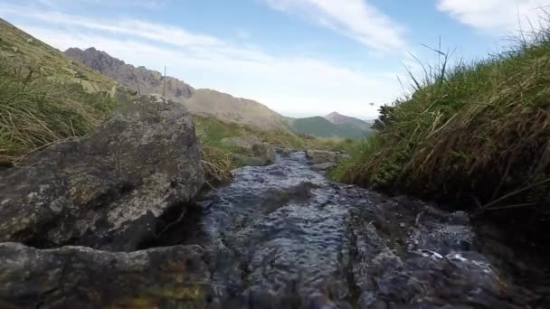 Lilla bäcken flödar i idylliska oförorenad miljö på de italienska Alperna. — Stockvideo