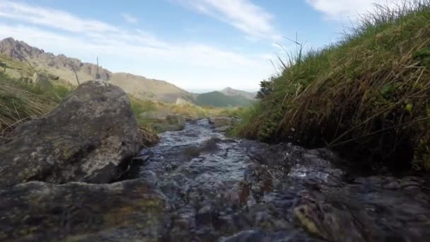 Pouco fluxo fluindo em ambiente idílico não contaminado nos Alpes italianos . — Vídeo de Stock