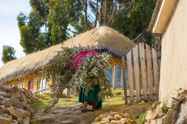 Życie na wsi na wyspie słońca, jezioro Titicaca, Bolivia — Zdjęcie stockowe