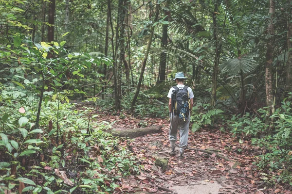 Backpacker tutkimassa majesteettinen viidakko Kubahin kansallispuisto, West Sarawak, Borneo, Malesia . — kuvapankkivalokuva